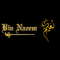 Bin Naeem Fabrics